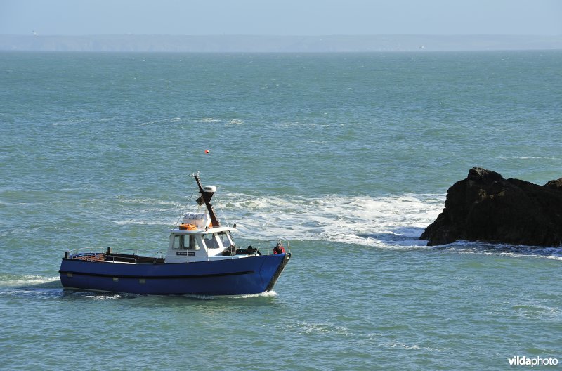 Bootje naar Skomer