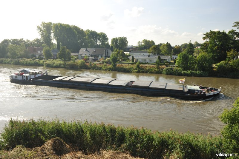 Vrachtboot op de Schelde