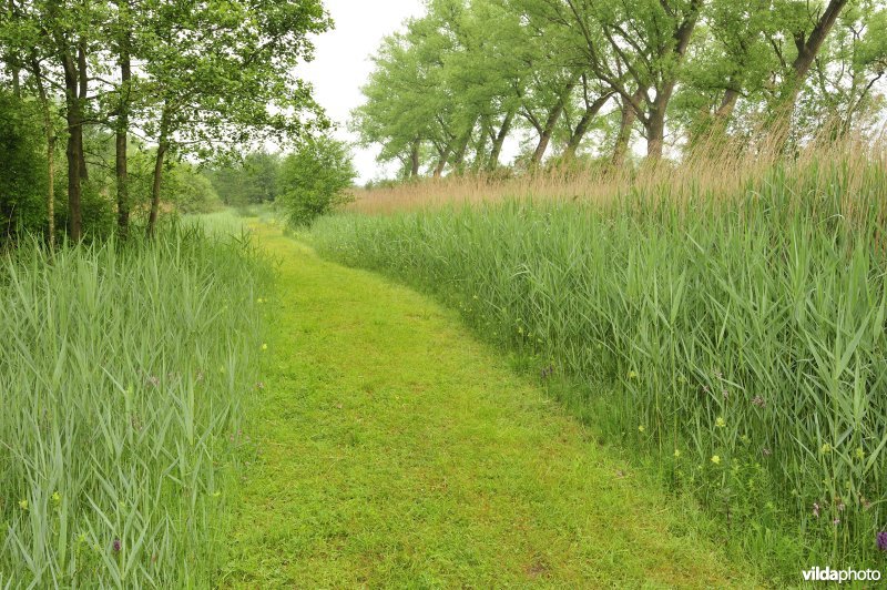 Natuurreservaat De Leiemeersen