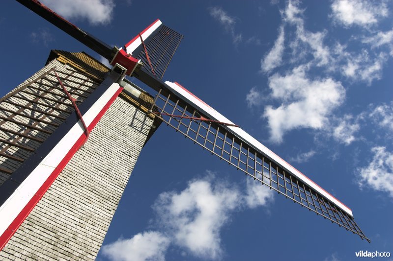 Windmolen