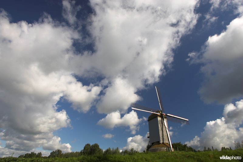 Windmolen
