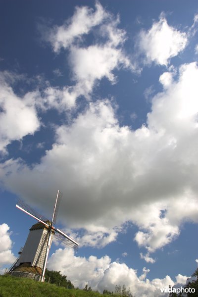 Windmolen