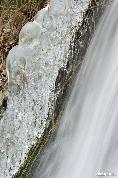 Waterval van Coo in de winter