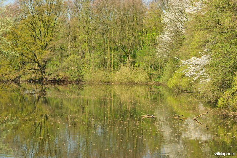 Walgracht van Fort Merksem in lentetooi