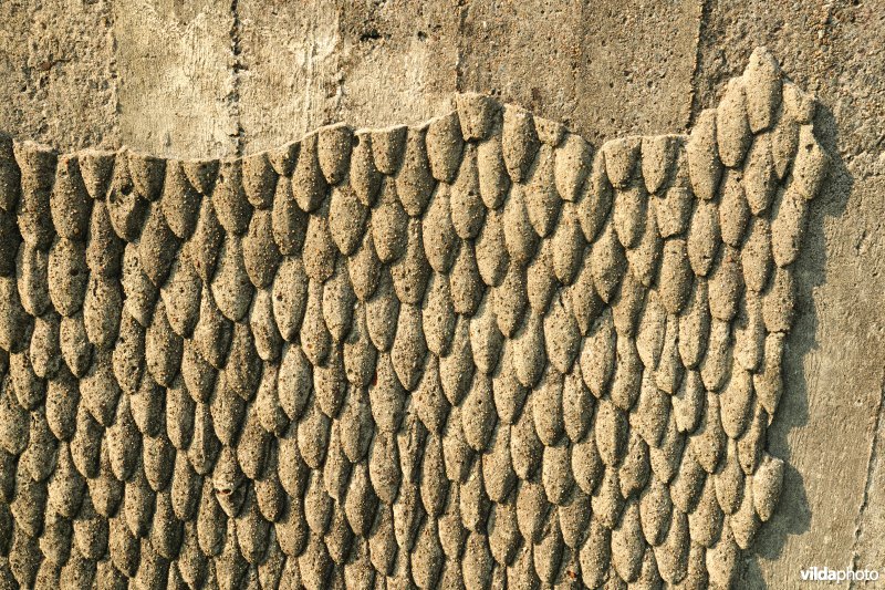 Camouflagepatroon van een sluisbunker op de antitankgracht