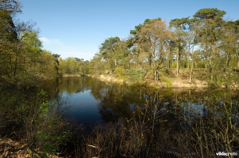 Lunetten Vught