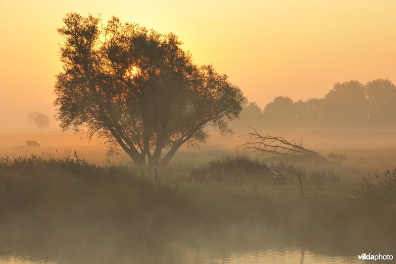 Rivier IJzer