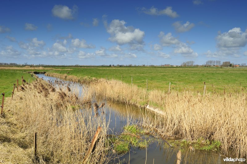 Vallei van de Handzame