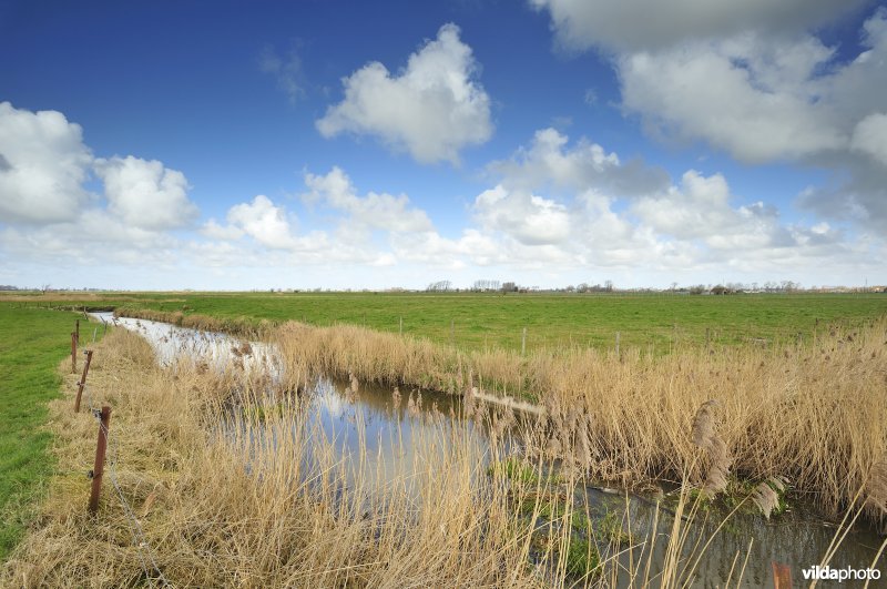 Vallei van de Handzame