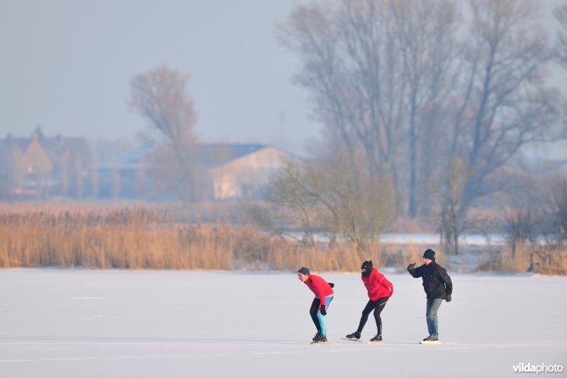 Schaatsen op de bevroren IJzerbroeken