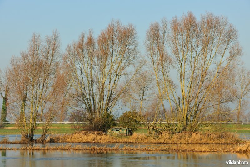 Oude jachtput in het Westbroek