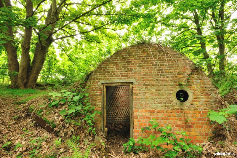 Fort Walem