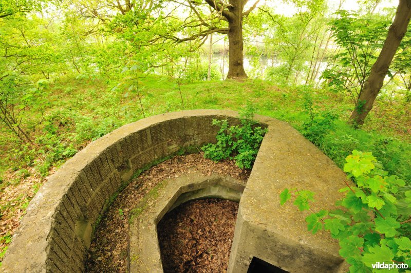 Fort Walem