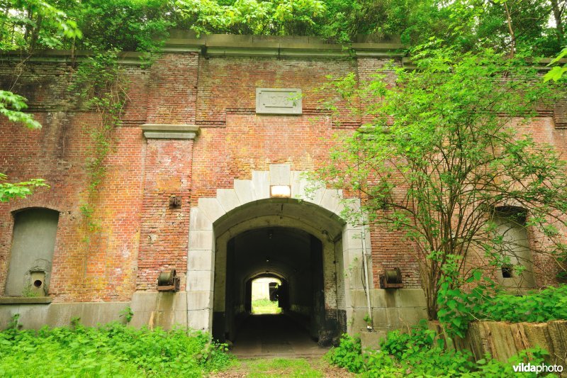 Fort Walem