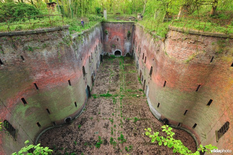 Fort 7
