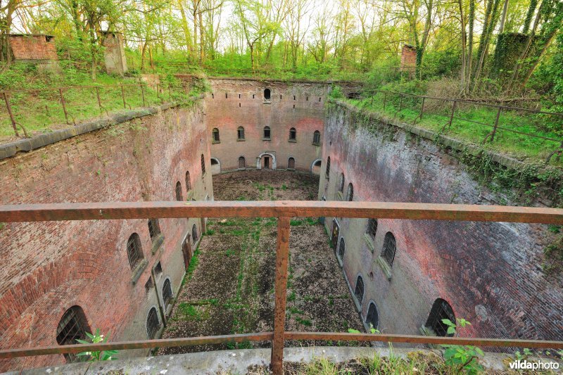 Fort 7
