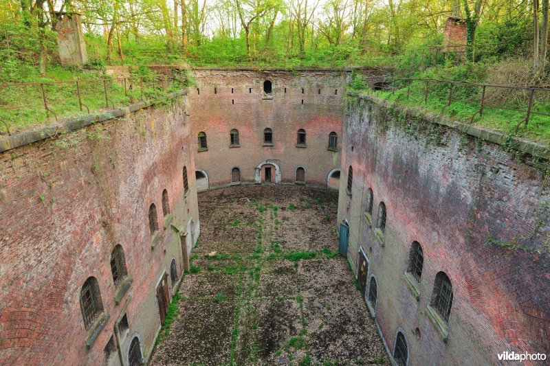 Fort 7