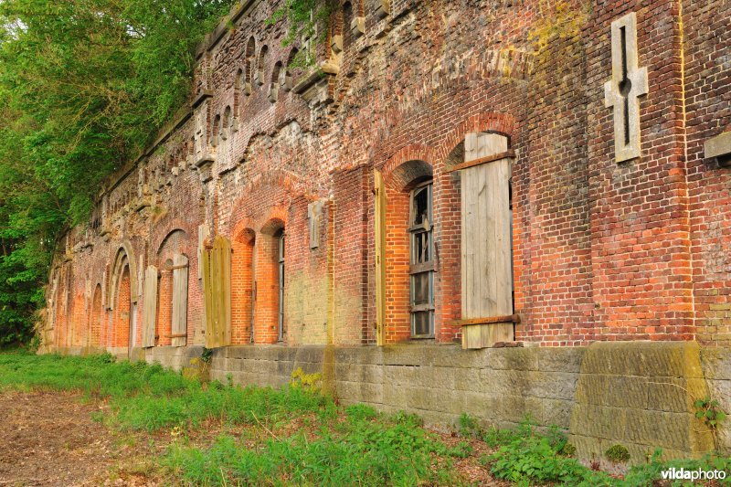 Fort 7