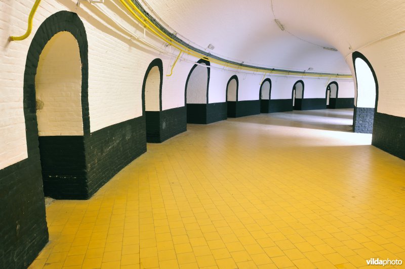 Fort 2
