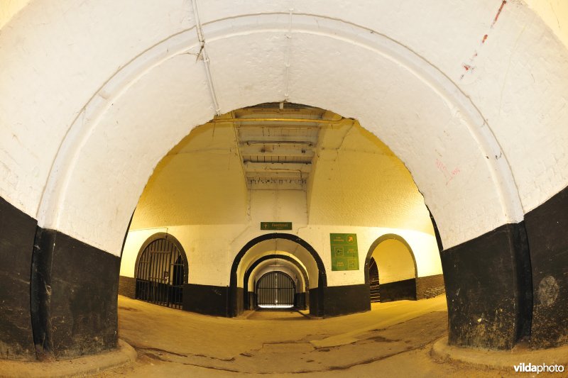 Fort 2