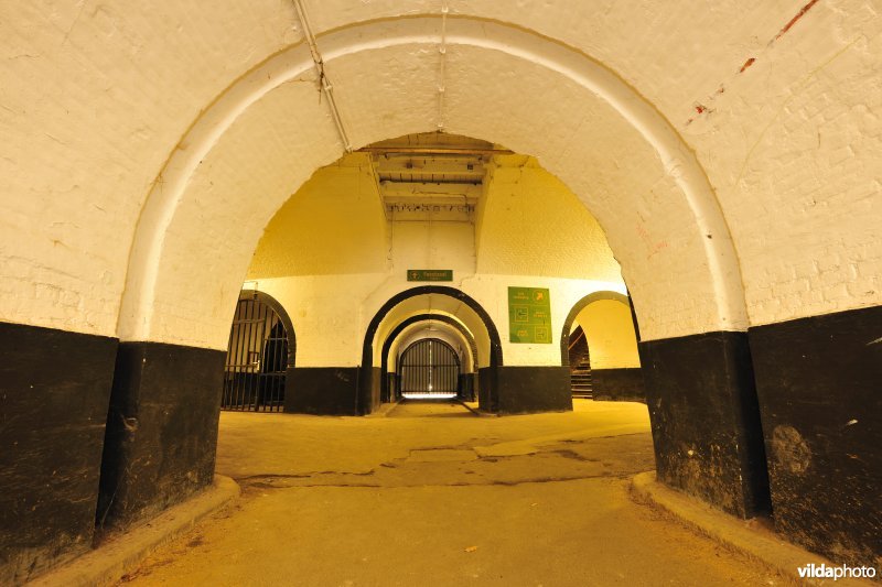 Fort 2