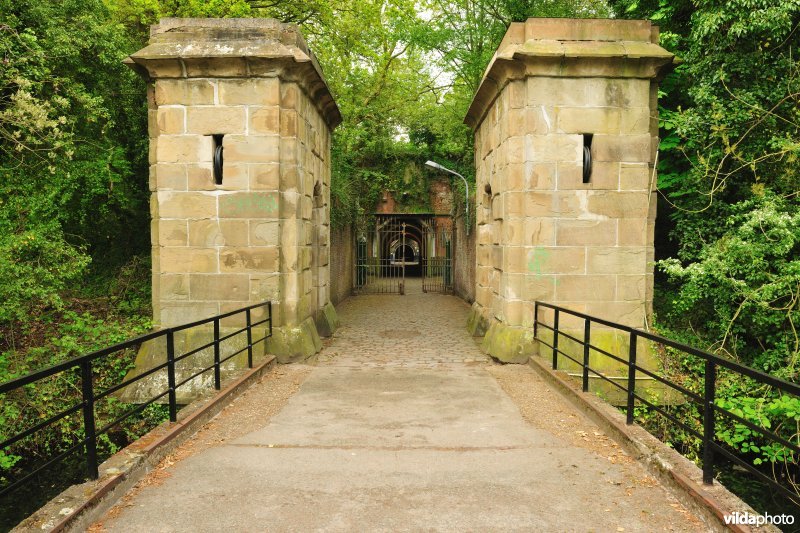 Fort 2