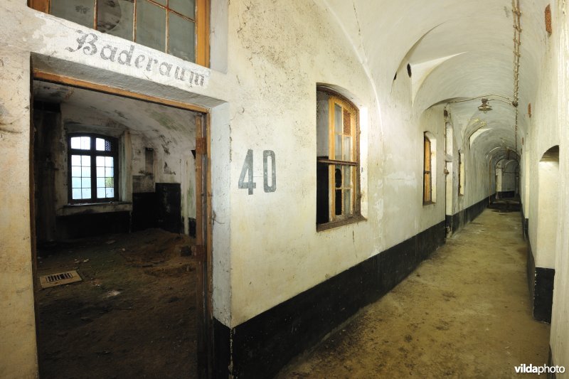 Fort Haasdonk
