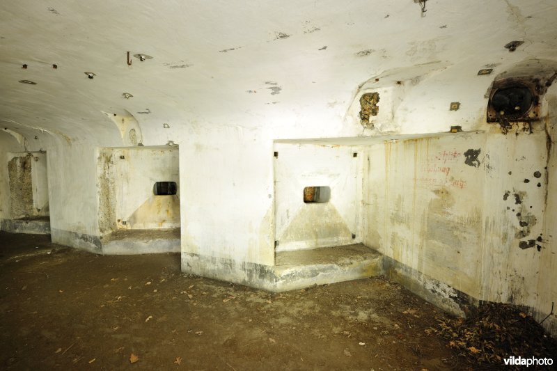 Fort Haasdonk