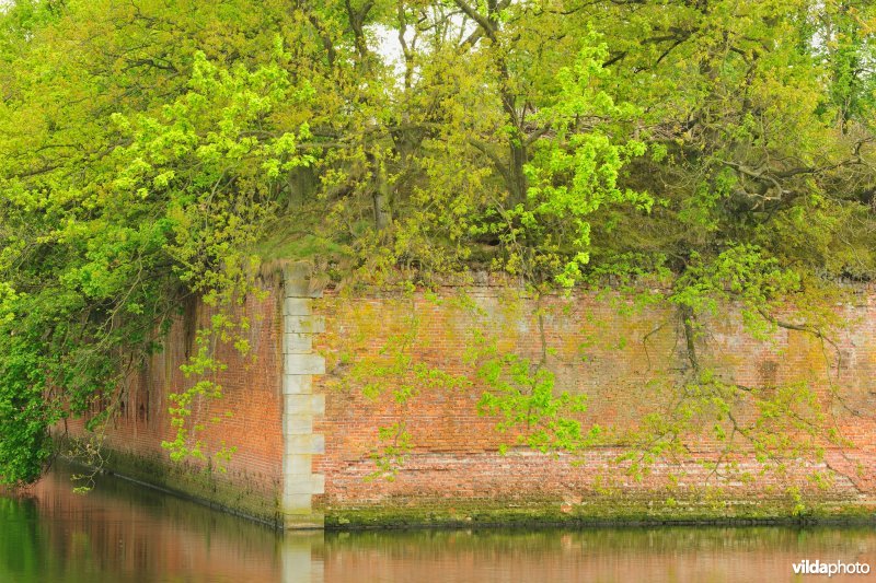 Fort van Borsbeek