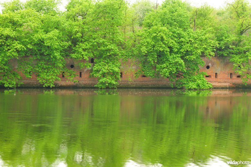 Fort van Borsbeek