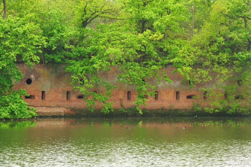 Fort van Borsbeek