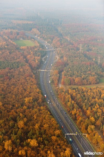 Luchtfoto van de snelweg A50 en bossen in herfstkleuren