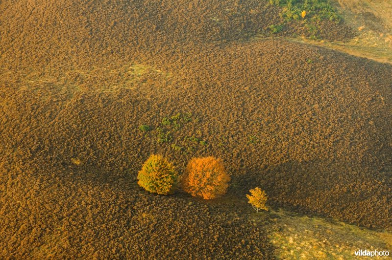 Luchtfoto van het Herikhuizerveld op de Veluwezoom in de herfst