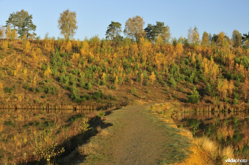 Oude zandgroeve aan de Kikbeekbron
