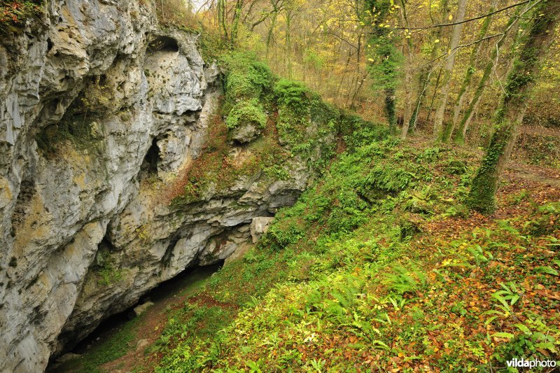 Puits des Vaux