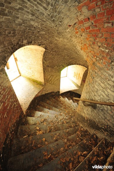 Fort 6