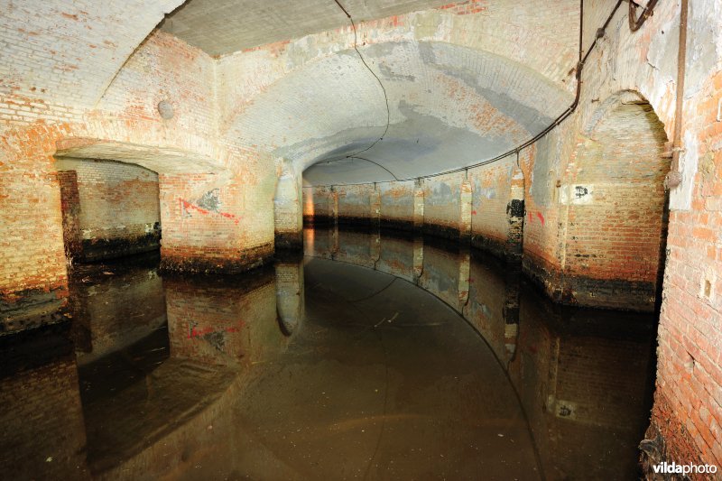 Fort 6