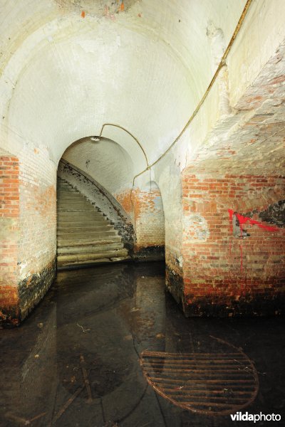 Fort 6