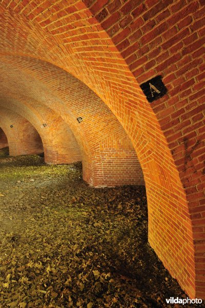 Fort 6