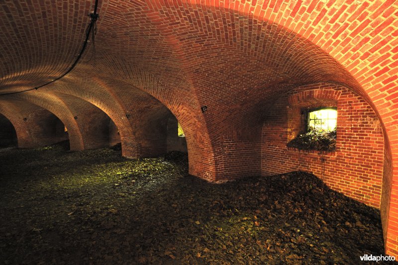 Fort 6