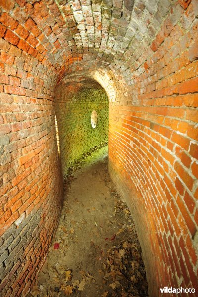 Fort 6
