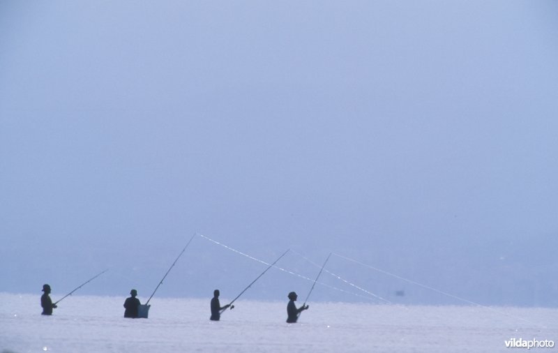 Vissers in de Ebro delta
