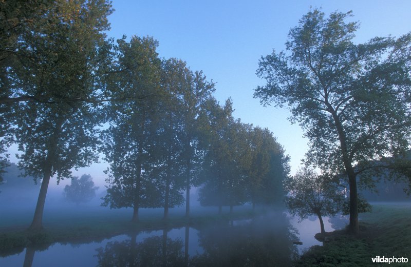 Populieren langs meander