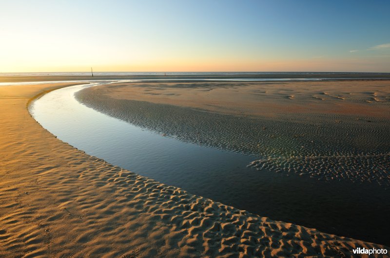 Strand te Koksijde