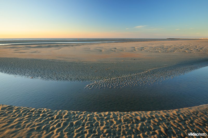 Strand te Koksijde