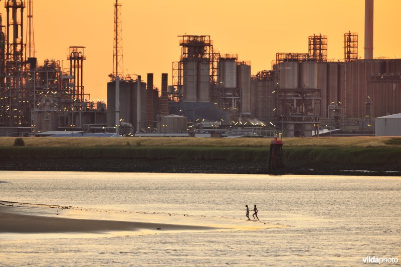 Pootjebaden op Sint-Annastrand