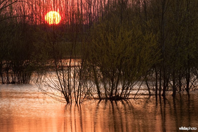 De rivier de IJssel bij Cortenoever