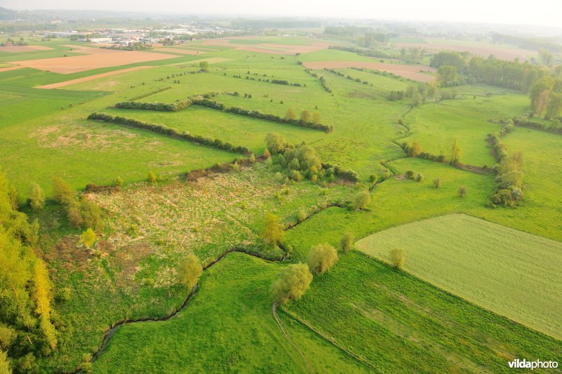Moenebroek