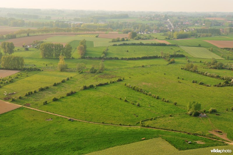 Moenebroek