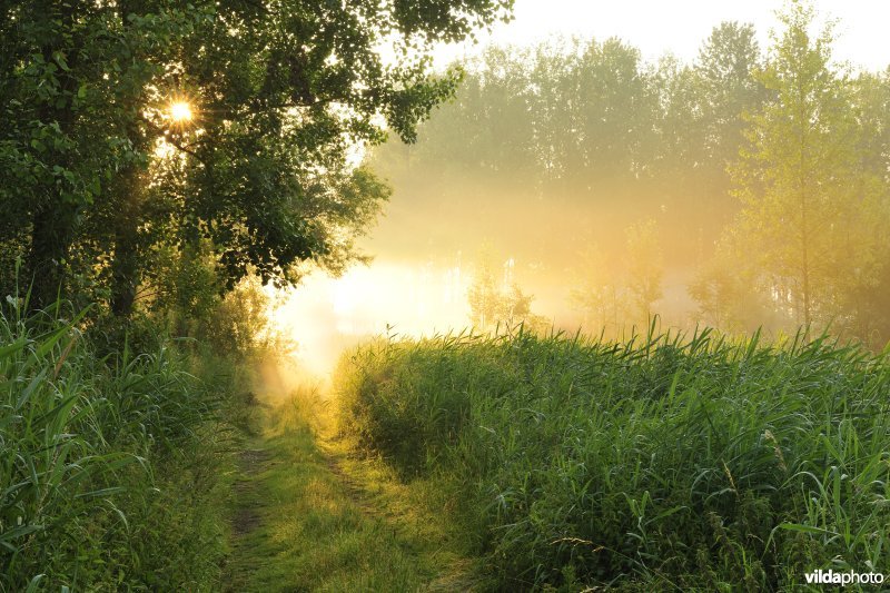 Vlassenbroekse Polders